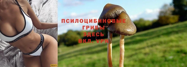 МДМА Белоозёрский