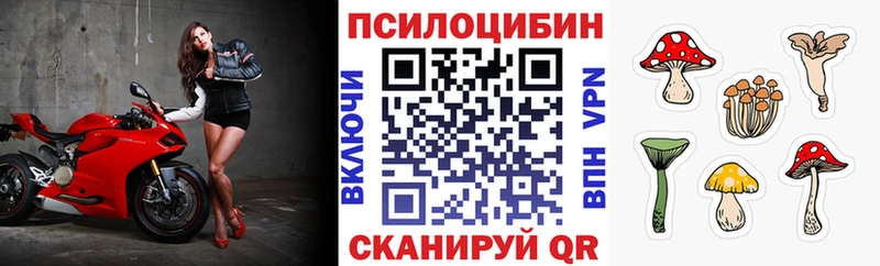KRAKEN ONION  Ворсма  Галлюциногенные грибы Psilocybe 