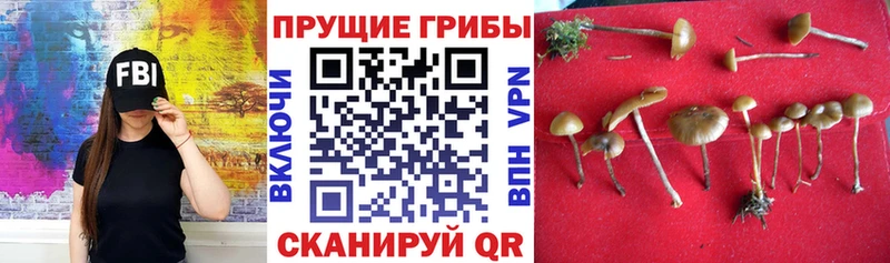 Галлюциногенные грибы ЛСД Ворсма